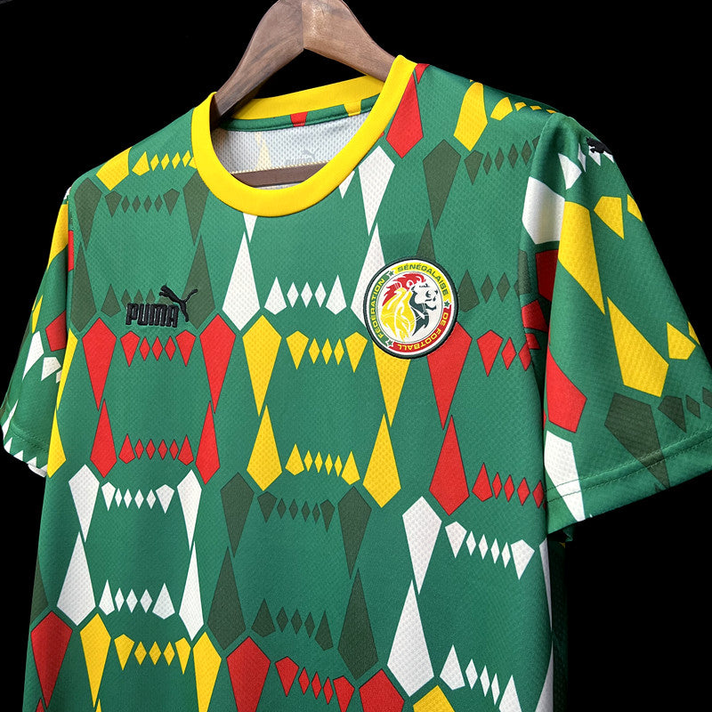 Sénégal maillot foot 2023 2024