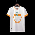 Côte d'Ivoire  maillot 2022/23 Coupe du monde