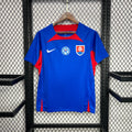 Slovaquie maillot foot 2024 2025 domicile